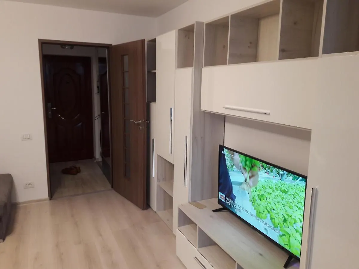 Delightful Studio Grigorescu Bucharest Apartment
