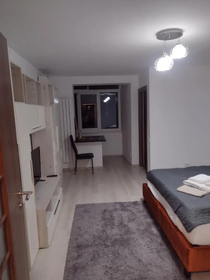 Delightful Studio Grigorescu Bucharest Apartment