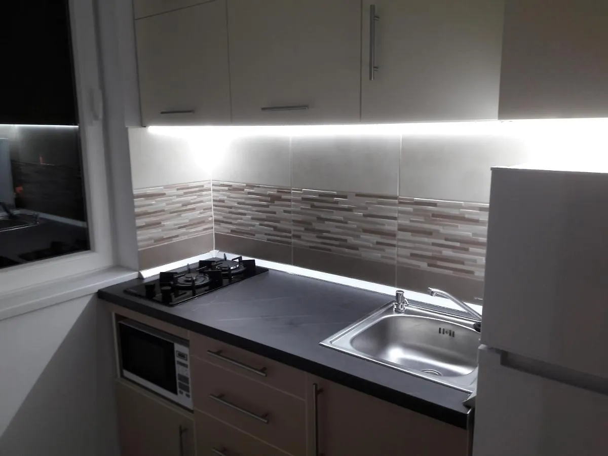 Apartment Delightful Studio Grigorescu Bucharest Romania